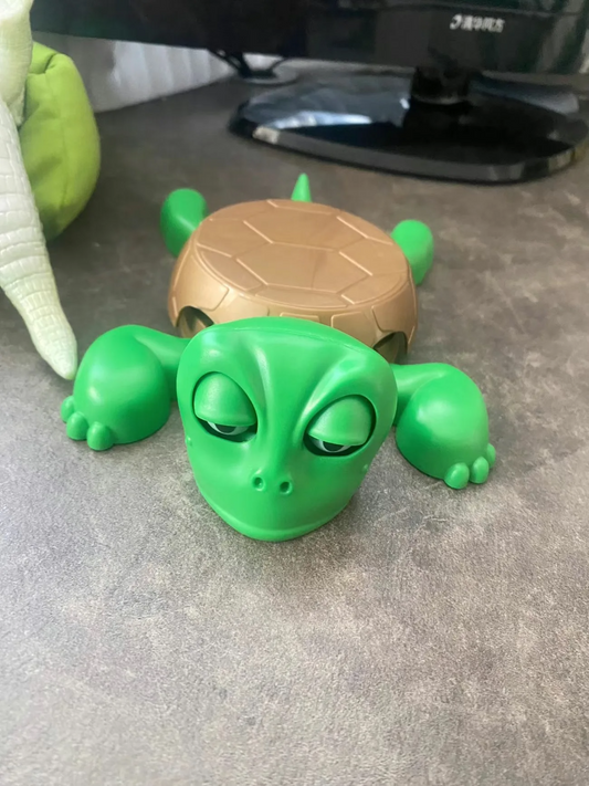 The Original Turtle Coaster